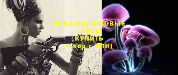 ПСИЛОЦИБИНОВЫЕ ГРИБЫ Балахна