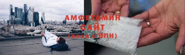 шишки Белокуриха