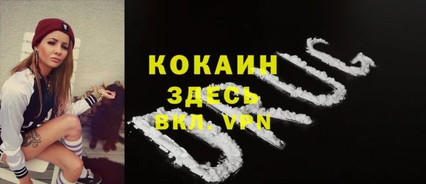 шишки Белокуриха