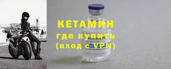шишки Белокуриха