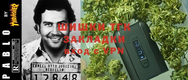 ГАЛЛЮЦИНОГЕННЫЕ ГРИБЫ Беломорск