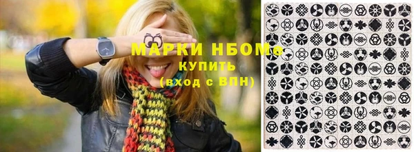шишки Белокуриха
