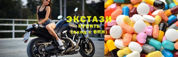крисы Баксан