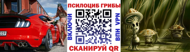 Псилоцибиновые грибы GOLDEN TEACHER  Жирновск 