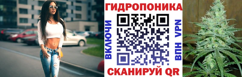 где можно купить   Жирновск  ссылка на мегу рабочий сайт  Канабис план 